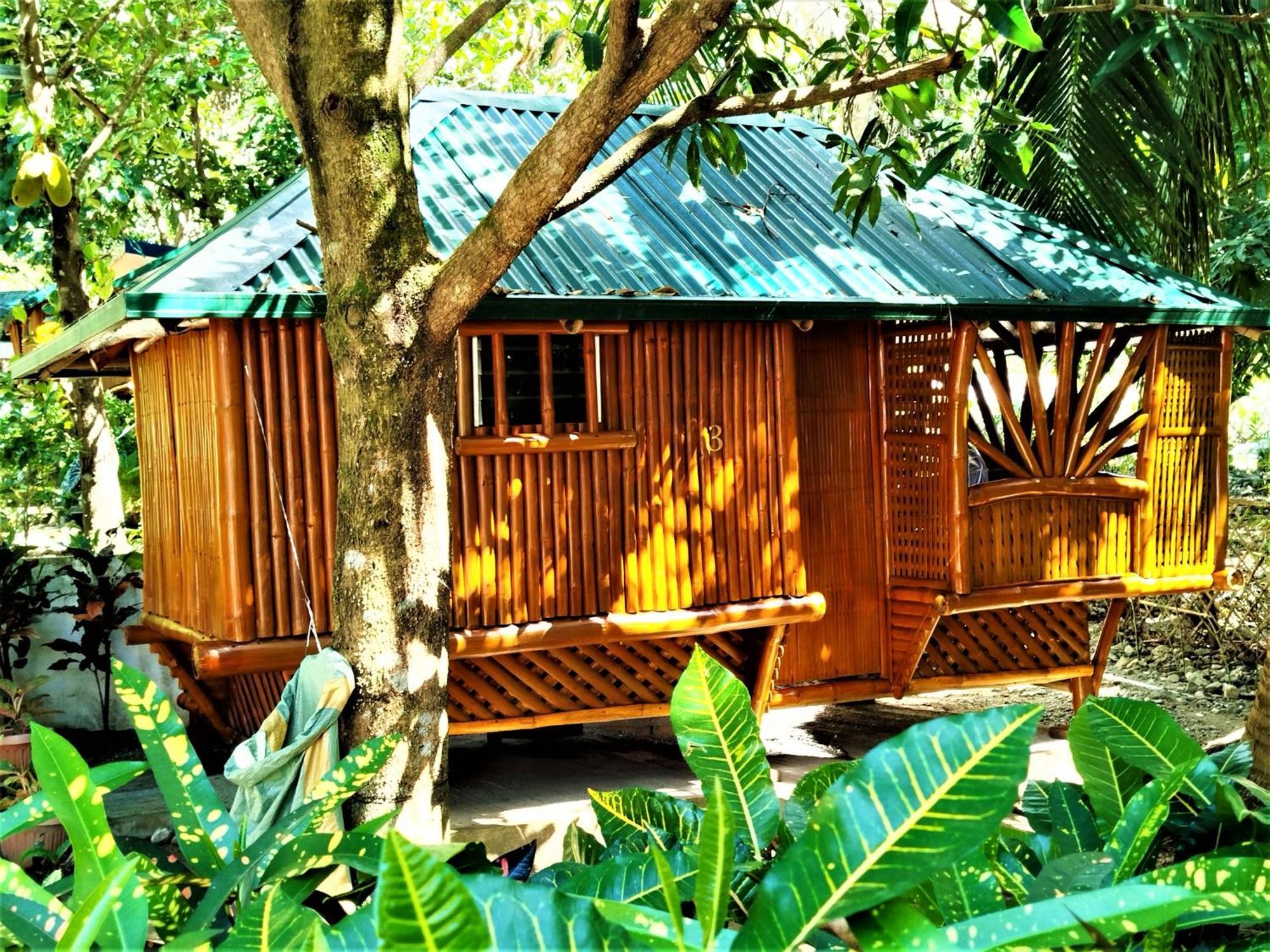 Rea'S Bamboo Resort Gabaldon Номер фото